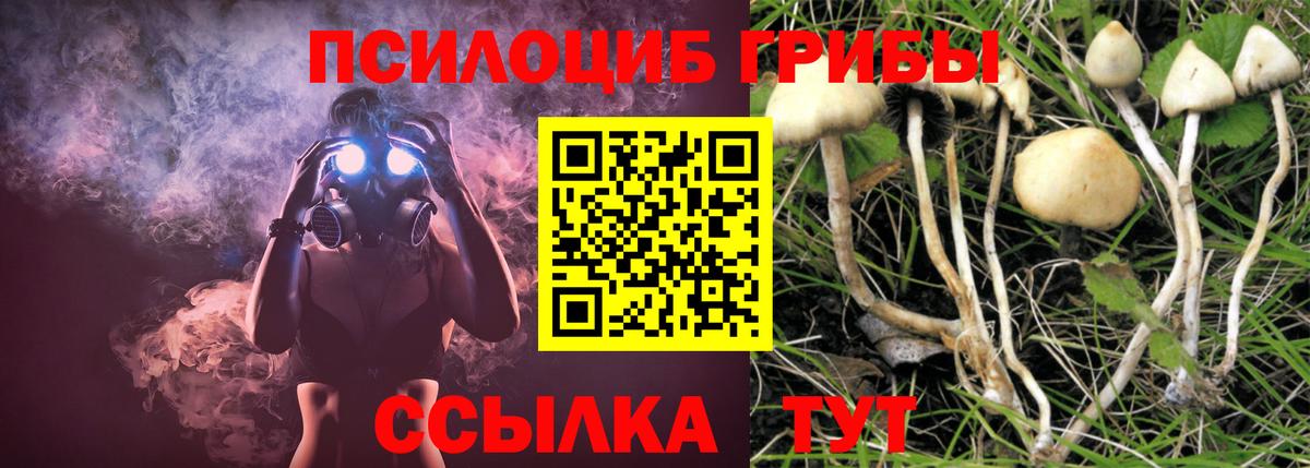Галлюциногенные грибы Magic Shrooms  Псилоцибиновые грибы GOLDEN TEACHER  Сергиев Посад  Вход с VPN 
