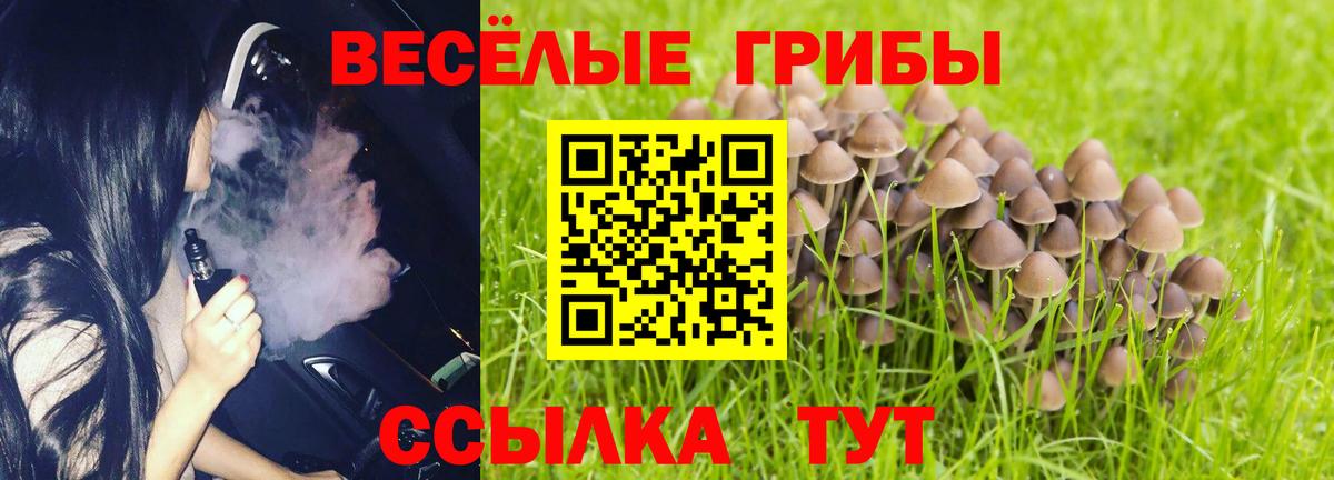 Псилоцибиновые грибы мицелий Сергиев Посад
